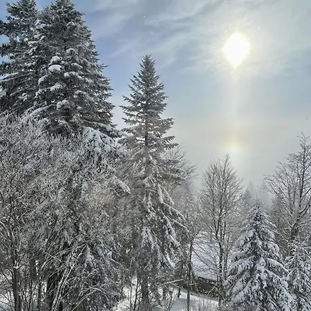 Confortable 2/4 Personnes Avec Balcon Et Wifi - Fr-1-787-104